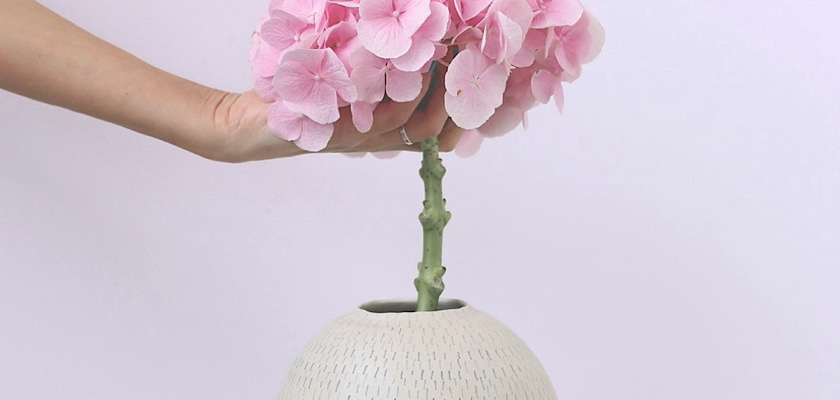 IMG_2025-12-02-113046