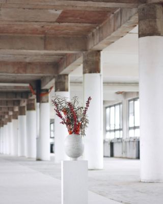 „Nejsem náročná. Stačí mi kousek prostoru a zazářím všude – v industriální džungli i ve tvém hygge koutku. Zapadnu...